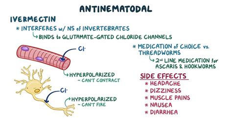 Anthelmintic medications: Video, Anatomy & Definition | Osmosis