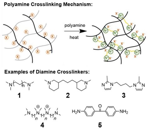 Polymers Free Full Text Tuning Alkaline Anion Exchange Membranes