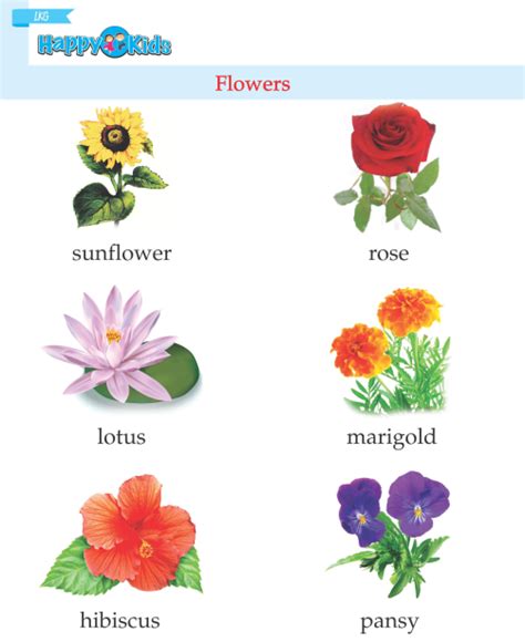 Flowers Name Worksheet For Kindergarten