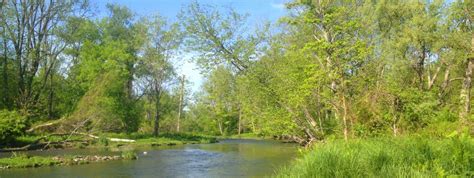 Etna Nature Preserve Finger Lakes Land Trust