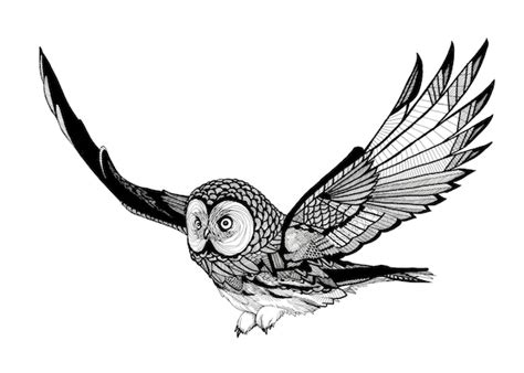 Flying Owl Illustration Black And White