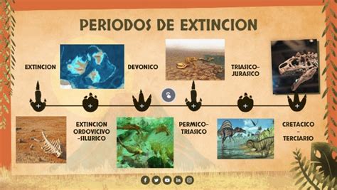 Linea Del Tiempo Periodos De Extincion