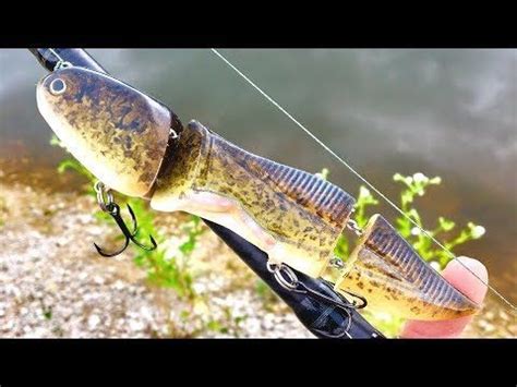 Undeveloped BullFrog Tadpole Lure One Day Build To Catch YouTube