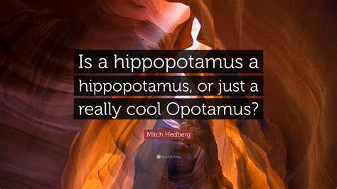 Mitch Hedberg Quote Is A Hippopotamus A Hippopotamus Or Just A