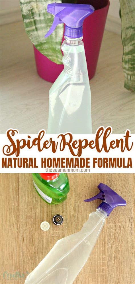 This Natural Spider Repellent Can Be Used For Both Your Home And Your Garden Safe And Natural