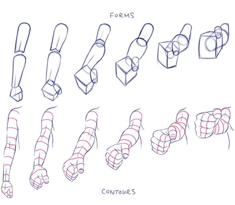 Arms Foreshortening Perspective Hands Arm Drawing Anatomy Drawing – NBKomputer