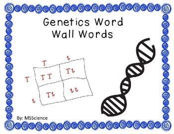 Genetics Word Wall Words High School Science Class Word Wall Middle