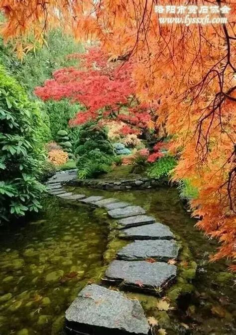 石凝天地之灵气，聚日月之精华，是有灵之物 华夏奇石网 洛阳市赏石协会官方网站