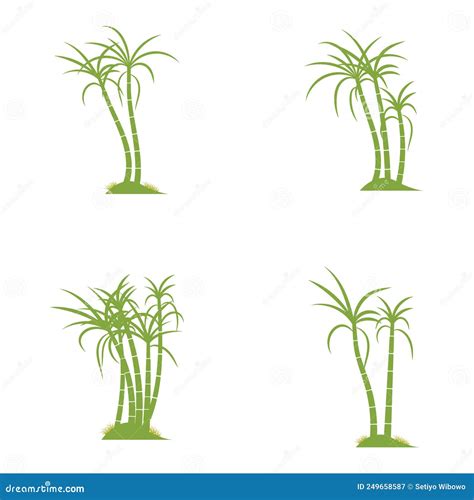 Sugar Cane Plant Logo Vector Illustration Design Stock Vector