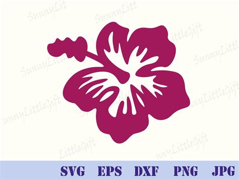 Hibiscus Svg Tropical Flower Svg Hawaiian Flower Svg Digital