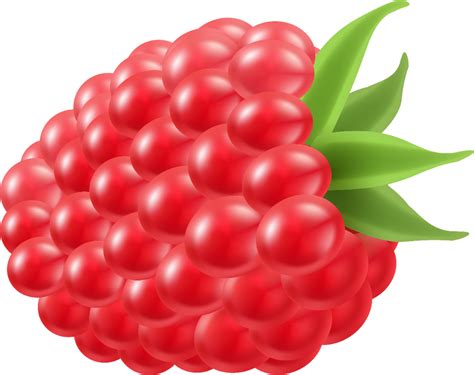 Berry Clipart Blue Raspberry Clip Art Raspberry 5000x4002 Frutta