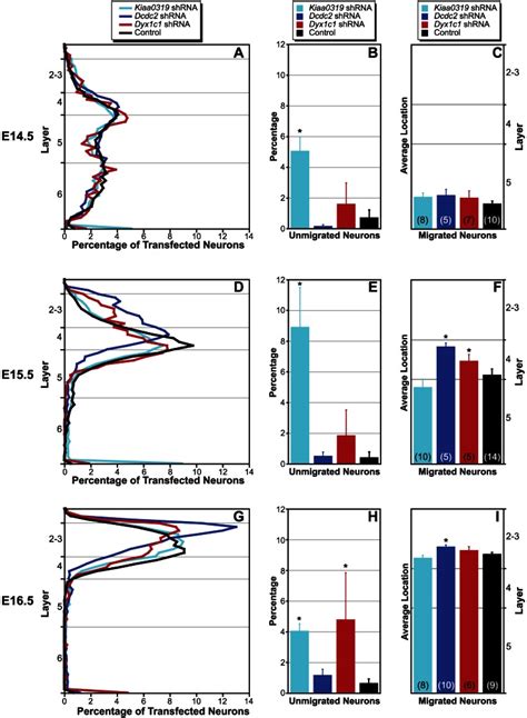 A Line Chart Showing Mean Laminar Position Of Neurons Transfected At