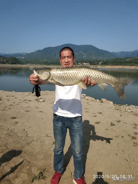 釣到大魚該不該放生？別用你的道德標準去綁架我的魚獲 每日頭條