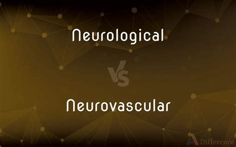 Neurological Vs Neurovascular — What’s The Difference