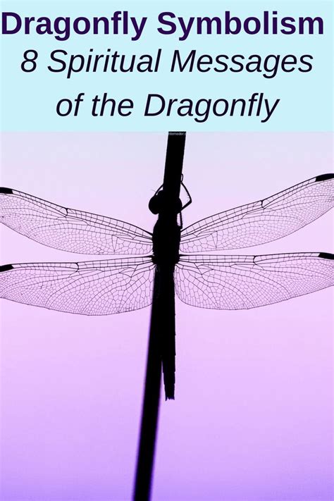 Dragonfly Symbolism: 8 Spiritual Messages