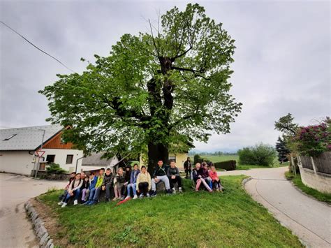 Kulturni dan za učence 3 razredov Osnovna šola Prežihovega Voranca