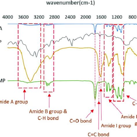 Fourier Transform Infrared Ftir Spectra Of Pla Mp Ha Plahamp