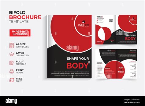 Modern Creative Bifold Trifold Brochure Template Pages Pages