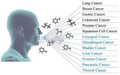 Biomedicines Free Full Text Diagnosis Of Carcinogenic Pathologies Through Breath Biomarkers