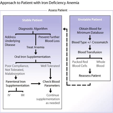 Expected Serum Parameters In Iron Deficiency Anemia And Anemia Of