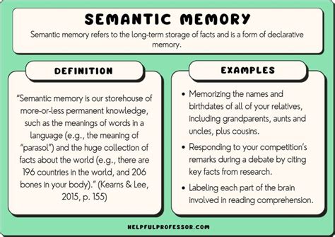 15 Semantic Memory Examples (2025)