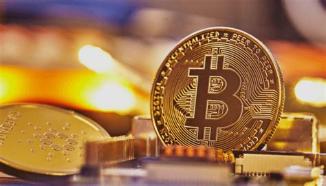 Bitcoin Riding Wave Of Trump S Win To Record High Businessday Ng