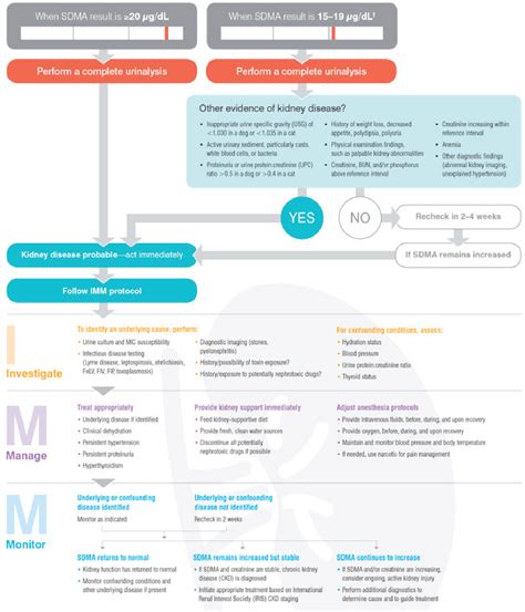 Figure 5 from A Practical Approach to Using the IRIS CKD Guidelines and the IDEXX SDMA ® Test in ...