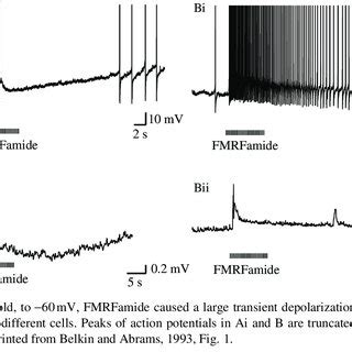 Examples of both prolonged inhibitory and prolonged excitatory ... 