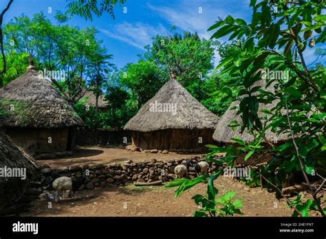 Traditional African Village Of The Konso Tribe In Ethiopia Stock Photo