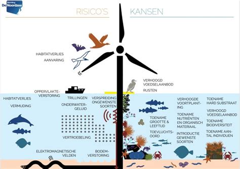 Stichting Noordzee Releases Report On Effects Of Large Scale Offshore