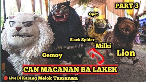 CAN MACANAN BA LAKEK DAN DRUMBAND NURUS SHOBAH DI KARANG MELOK TAMANAN