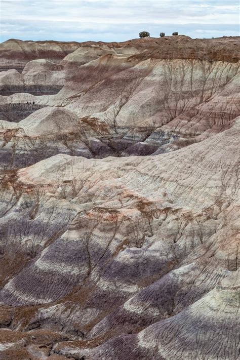 The Painted Desert Stock Photo Image Of Color Badlands 138490330