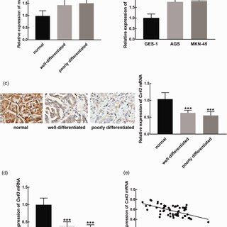 The Expression Levels And Correlation Of Mir P And Cx Mrna In