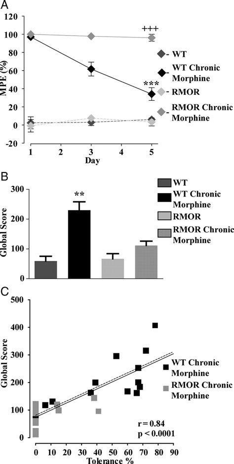 μ Opioid Receptor Endocytosis Prevents Adaptations In Ventral Tegmental