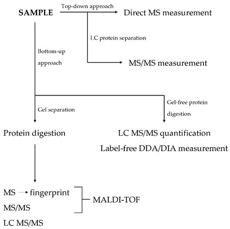 Proteomics In Adult And Pediatric Inflammatory Bowel Diseases