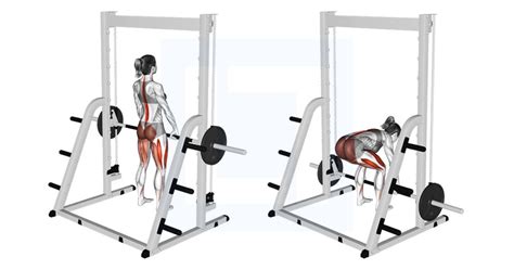 Smith Deadlift Guide Benefits And Form