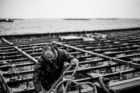 Las Bateas En Galicia Un Tesoro MarÍtimo Que Merece ProtecciÓn