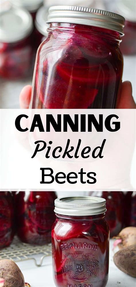 Canning Pickled Beets Artofit