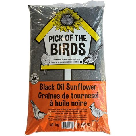 18kg Black Oil Sunflower Bird Seed Home Hardware