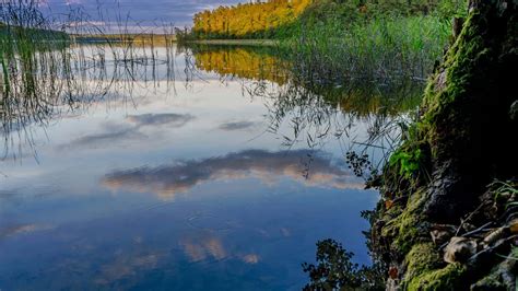 Masurian Lakes Guide: Adventure & Nature in Poland