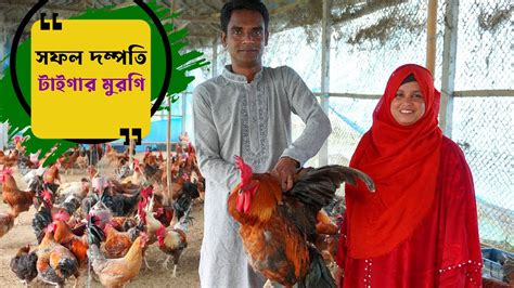 টাইগার মুরগি পালন করে সফল ভালুকার দম্পতি Tiger Murgi Farm কৃষি ঘর