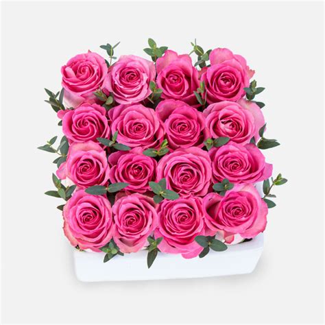 Pink Rose Garden - Flower Delivery NYC - plantshed.com