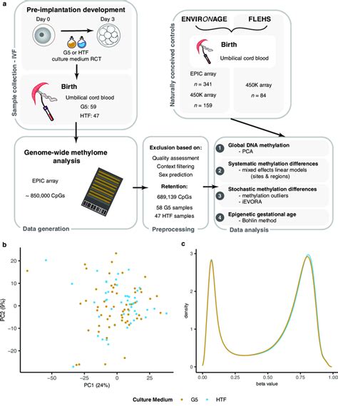 Genome Wide DNA Methylation Analysis Of IVF Neonates That Underwent