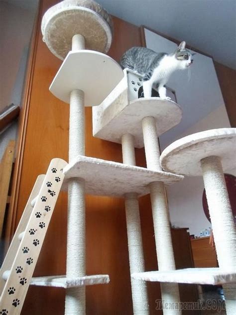 Домик для кошки своими руками | Diy cat tree, Cat diy, Cat furniture diy
