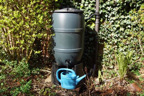 Regenwasser Auffangen An Der Dachrinne Wasser Und Geld Sparen