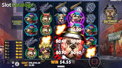 The Big Dawgs Slot Review 2025 ᐈ Play Demo For Free