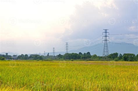 Electricity Towers Rice Field With High Voltage Power Pylons