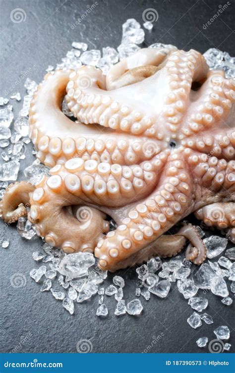 Fresh Catched Octopus On Crushed Ice At A Display Counter Stock Image