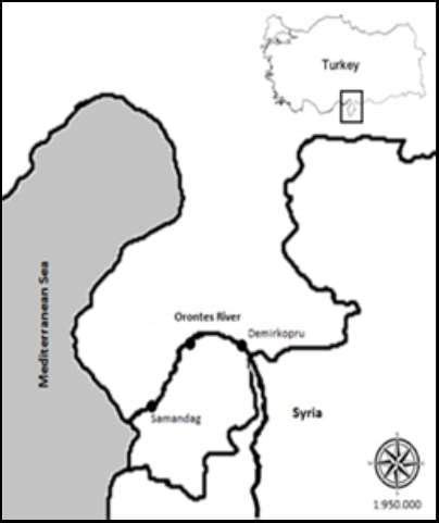 Map of sampling sites ( ) in the Orontes River. | Download Scientific ...