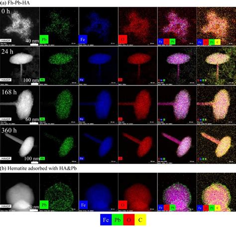 A Haadf Images And Eds Elemental Mapping Of Fe Pb O And C